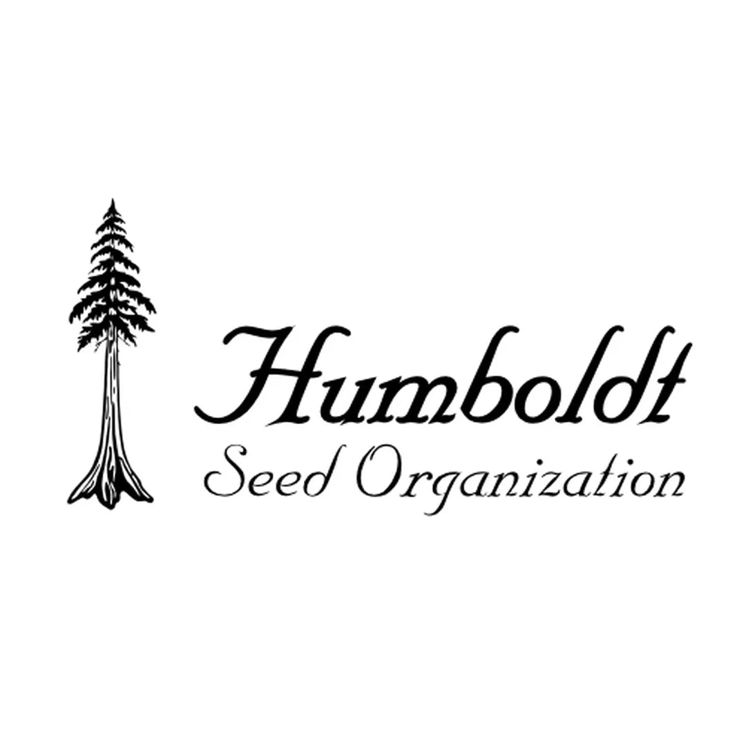 OGKZ Auto Humboldt Seeds | Semillas autoflorecientes 5 unidades