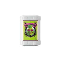 Big bud Advanced nutrients