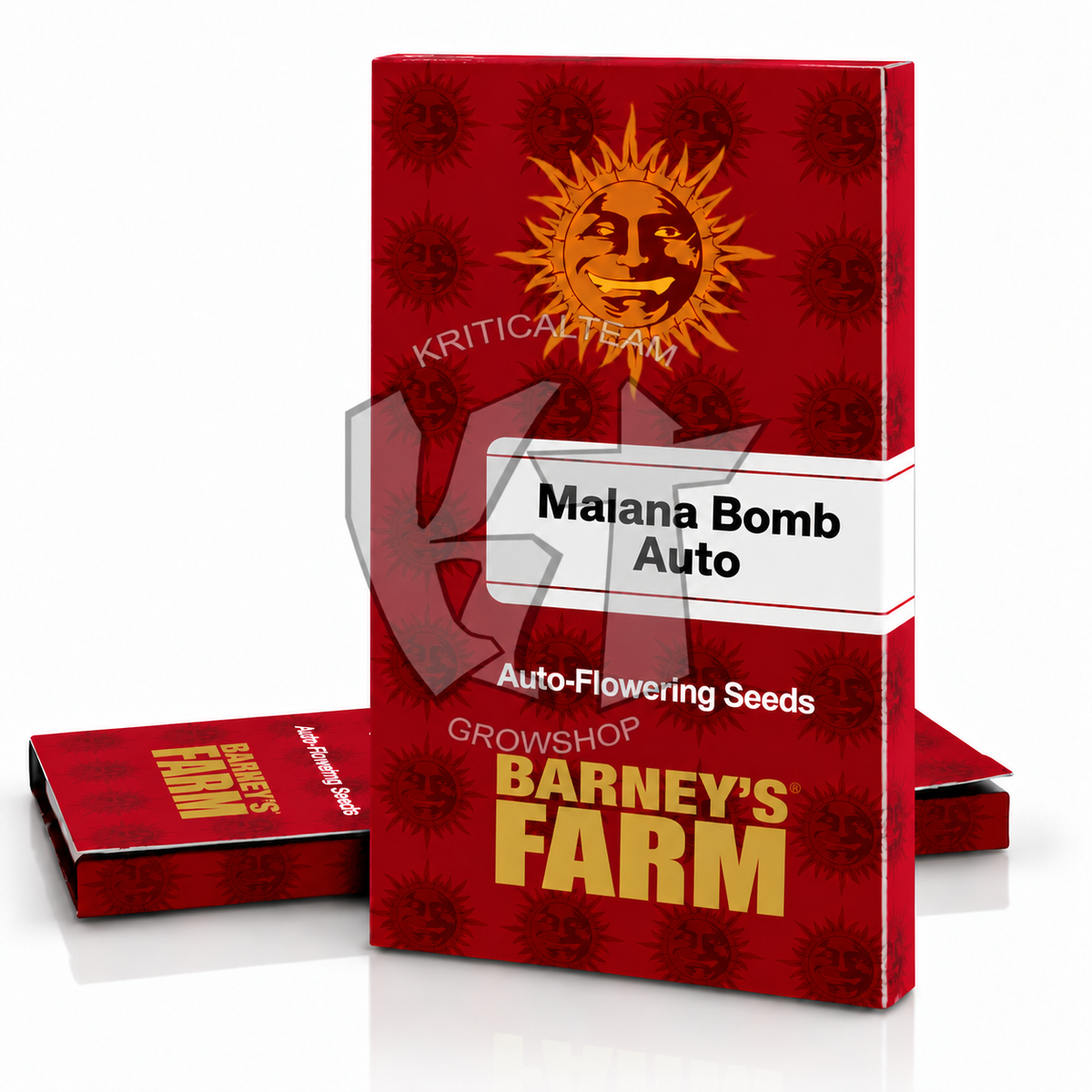Malana Bomb Auto – Barney’s Farm, Kritical Team