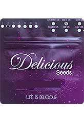 critical neville haze bolsa de semillas