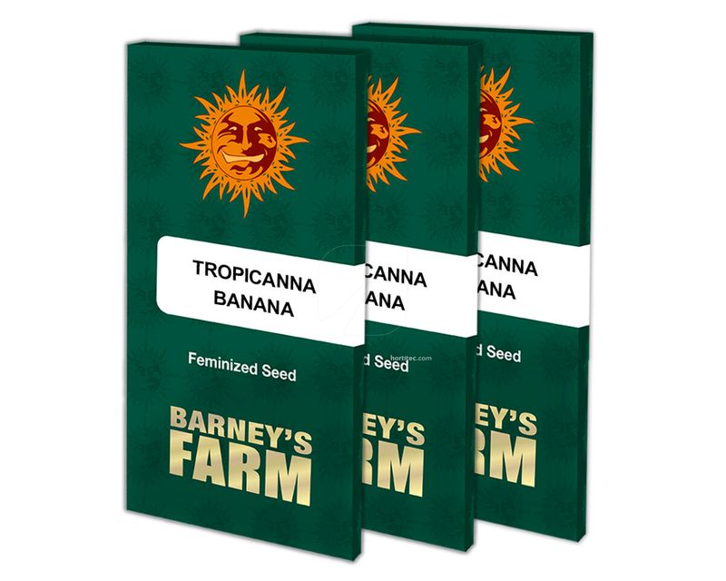 TROPICANNA BANANA