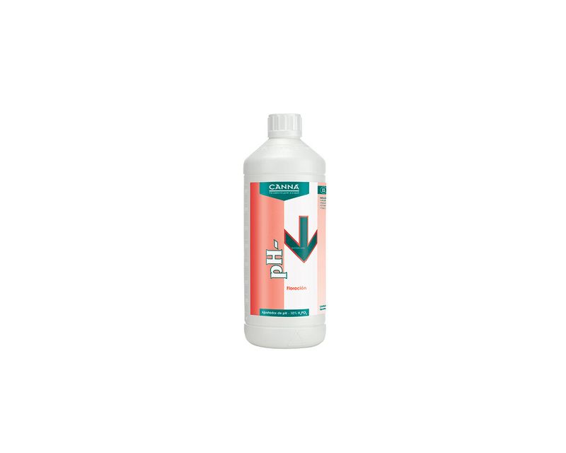 ph-down-bloom-1-l-59