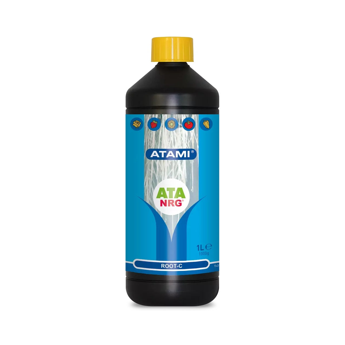 ATA NRG Root-C Atami - fotografía del producto