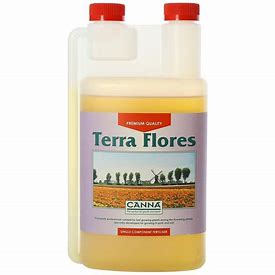 terra-flores