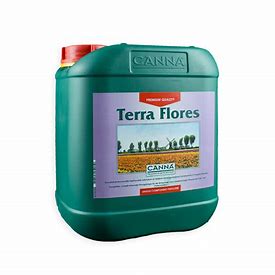terra-flores