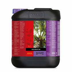 coco-booster-universal-bcuzz-atami