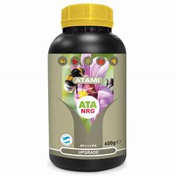 NRG UPGRADE ATA ATAMI