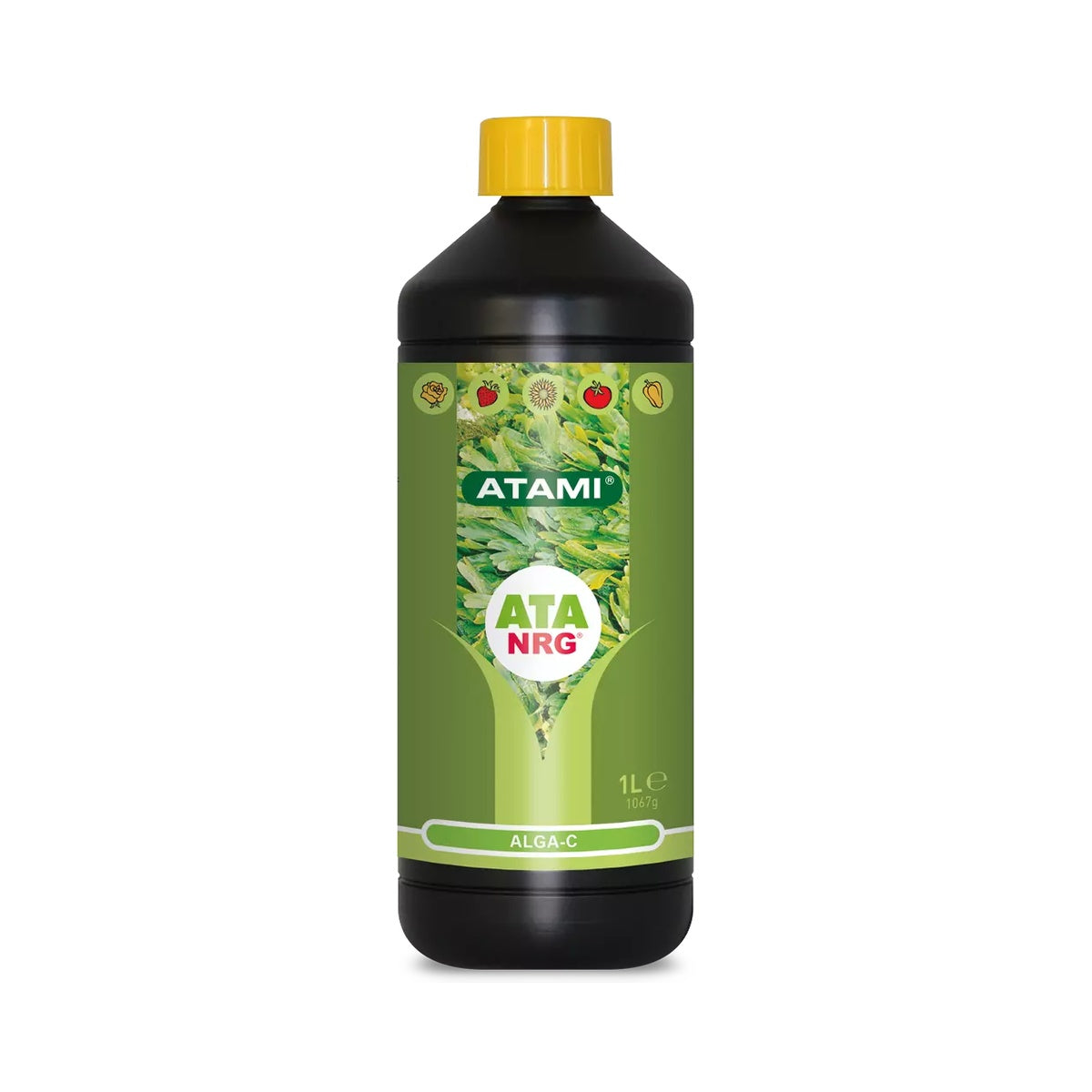 ATA NRG Alga-C Atami - fotografía del producto