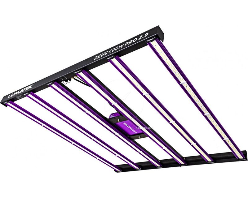 ZEUS PRO 2.9 600W