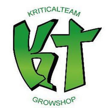 Kritical Team