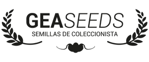 Gea seeds