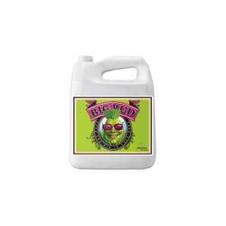Big bud Advanced nutrients