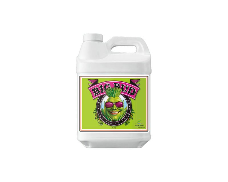 Big bud Advanced nutrients
