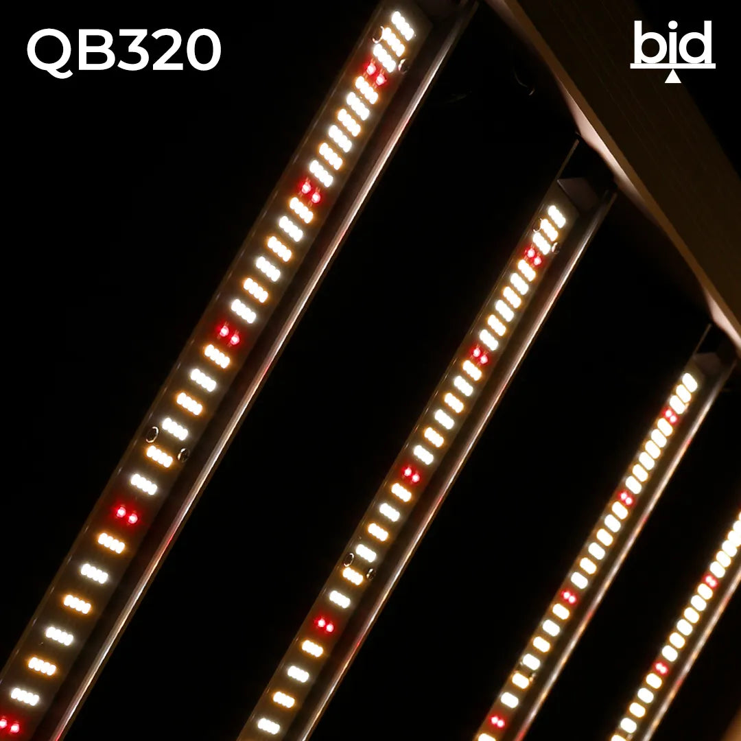 LED QB 320W | Agrolite para cultivo indoor eficiente
