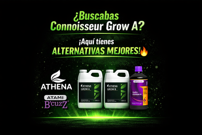 Alternativa a pH Perfect Connoisseur Grow A | Fertilizantes de crecimiento TOP