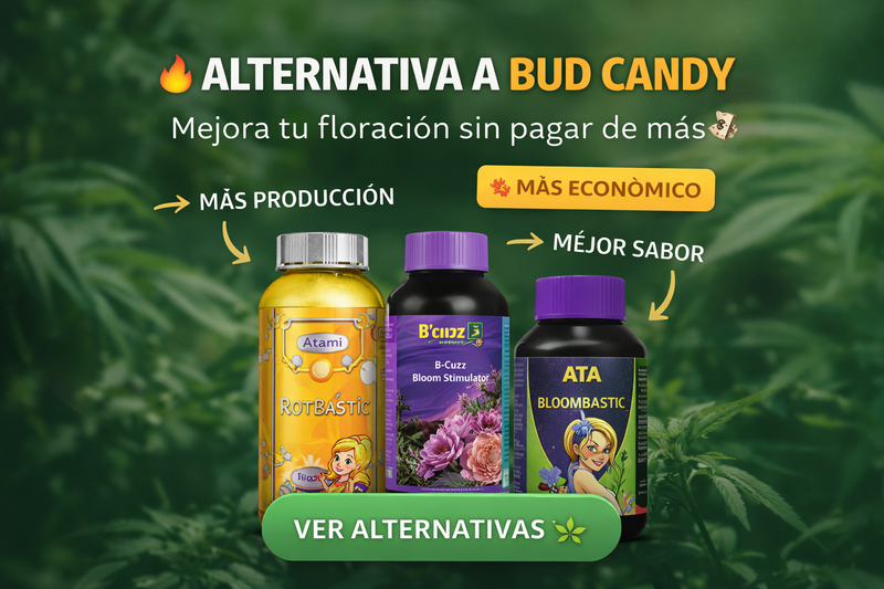 Alternativa a Bud Candy | Sustituto natural para engorde y resina