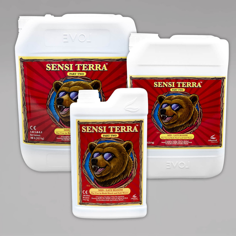 Sensi Terra Part Two
