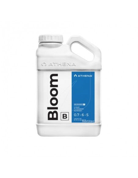 BLOOM B