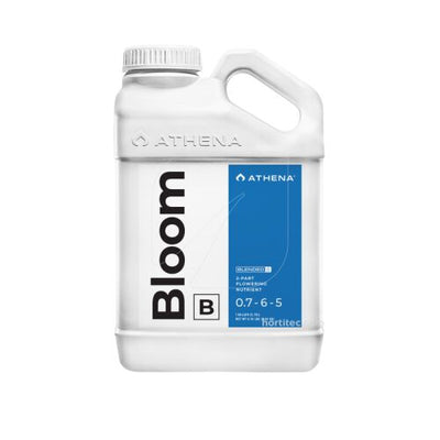 BLOOM B