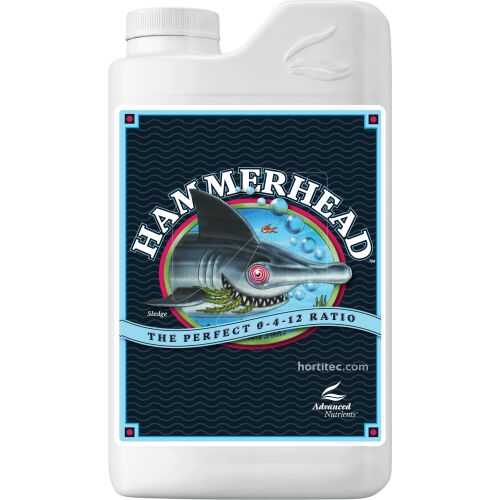 Hammerhead