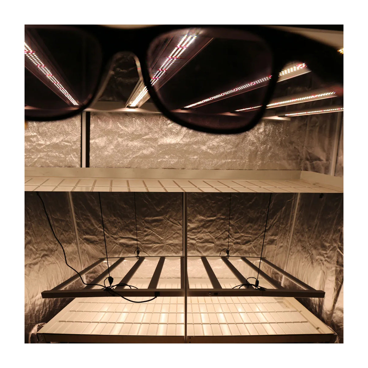 LED QB 1080W 2.9 BID Agrolite – Hochleistungs-LED-Anbaupanel 1080W