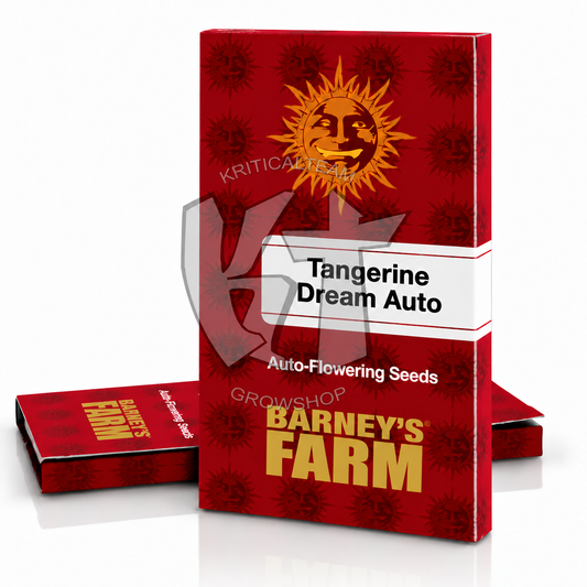 Tangerine Dream Auto – Barney’s Farm, Kritical Team