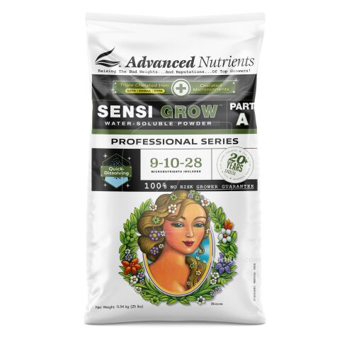 Wsp sensi Bloom A