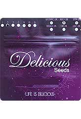 Northern Light Blue Auto | Delicious Seeds