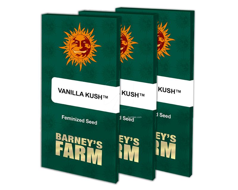 vanilla-kush-barney's farm seeds