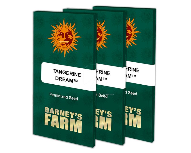 tangerine-dream-barneys farm seeds