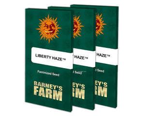 liberty-haze-barney's farm seeds