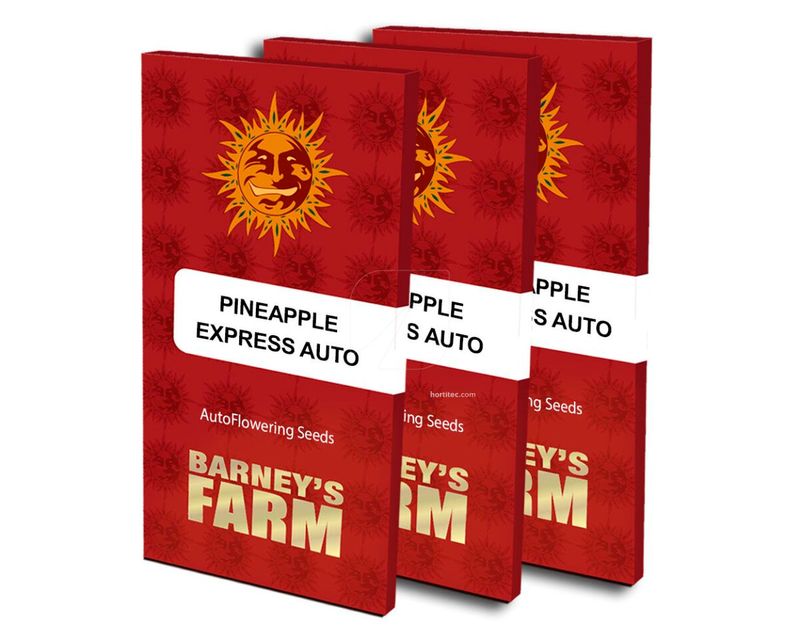 pineapple-express-auto-barneys farm seeds