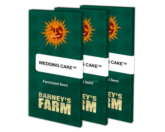 wedding-cake-barney's farm seeds