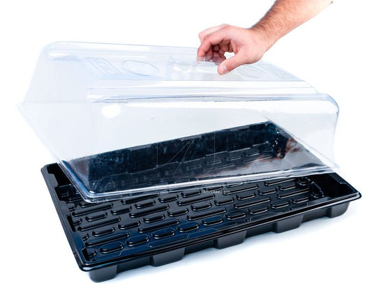 Propagador VDL – Germinador de Semillas y Esquejes