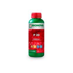 P 20 FOSFORO BIO NOVA