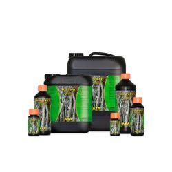 ROOTFAST ATA ATAMI