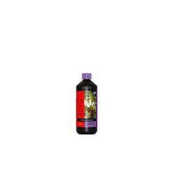 COCO BOOSTER UNIVERSAL B'CUZZ ATAMI