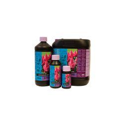 BLOSSOM BUILDER LIQUID B'CUZZ ATAMI