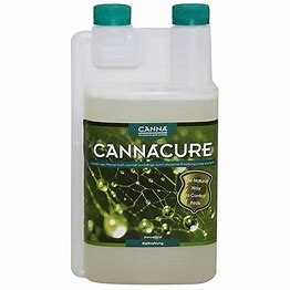 CANNACURE