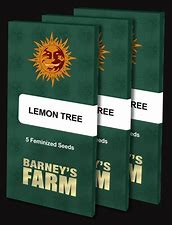 lemon-tree-barney's farm seeds