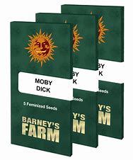 moby-dick-barney's farm seeds