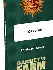 top-dwag-barney's farm seeds