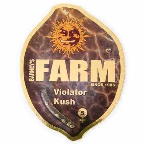 violator-kush-barney's farm seeds