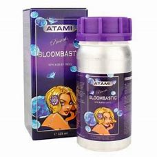 bloombastic-atami