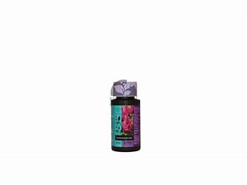 blossom-builder-liquid-bcuzz-atami