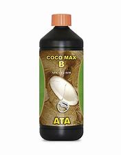 coco-max-a-ata-atami