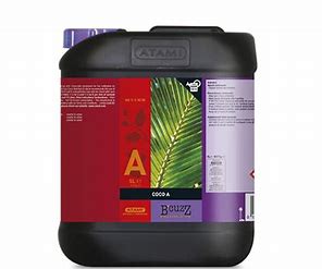 coco-nutrition-a-bcuzz-atami