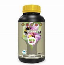 nrg-upgrade-ata-atami