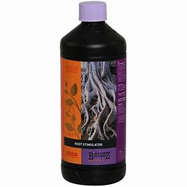 root-stimulator-bcuzz-atami