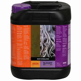 root-stimulator-bcuzz-atami